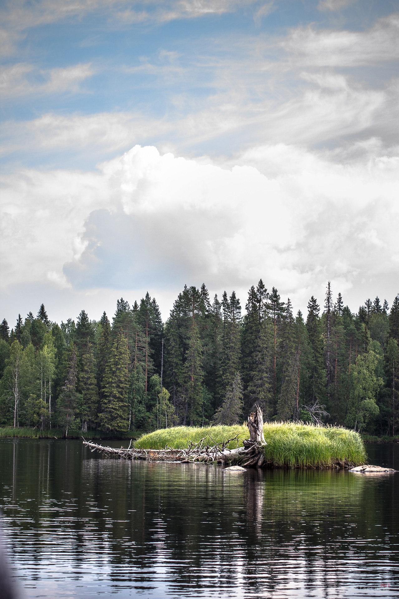 Пейзажи. Свадебный и репортажный фотограф в Москве и Московской области