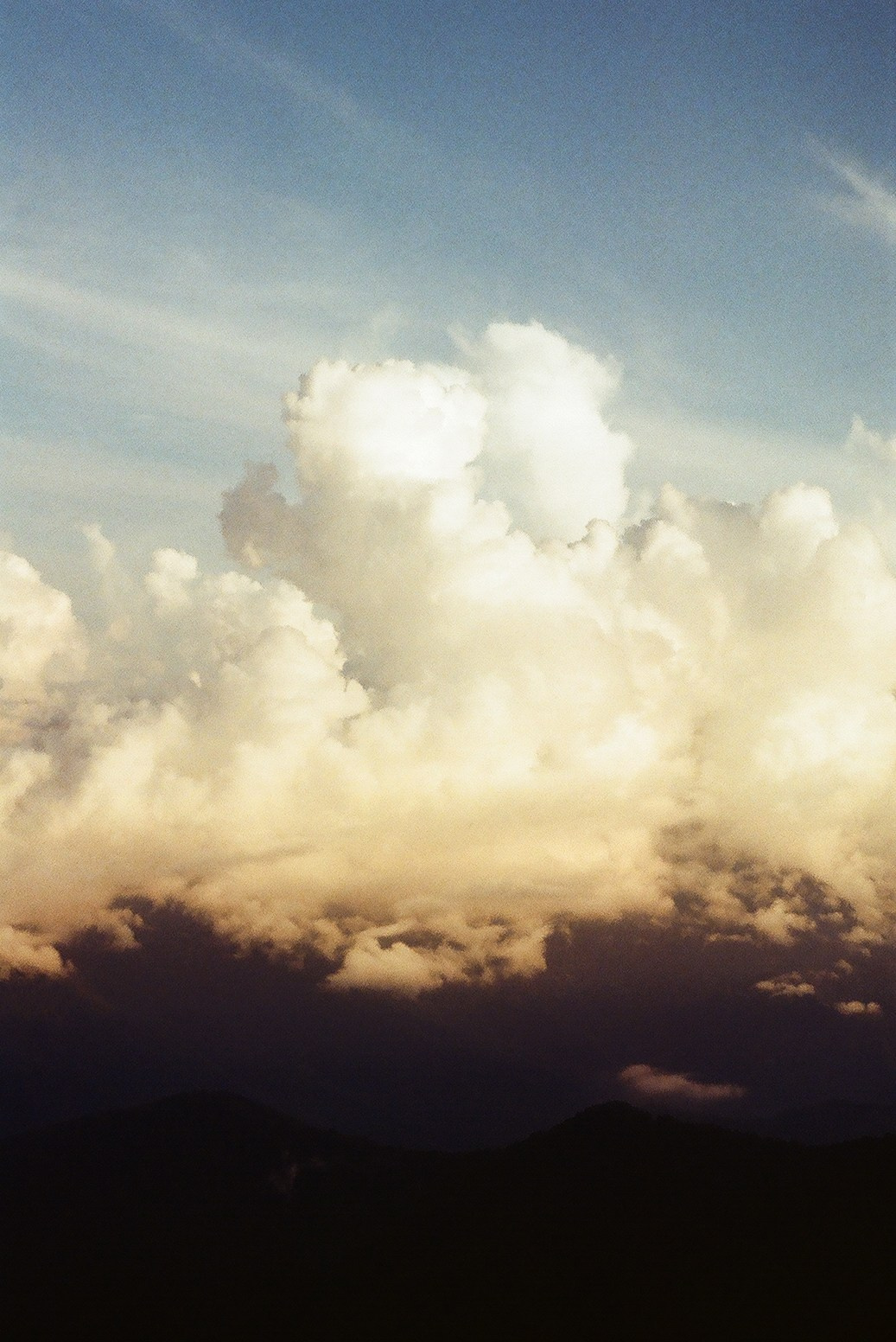 Плёнка. Главная