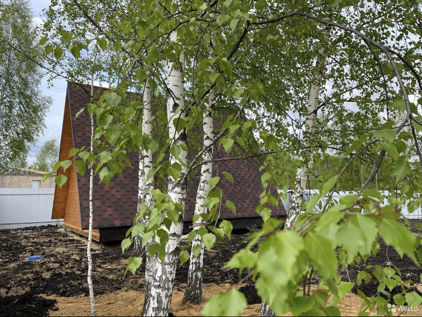 Квартира для предметной съемки Дом бунгало a-frame Москва