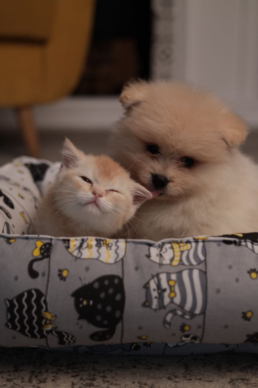 Предметная съемка для маркетплейсов. Отзывы | Sale Easy