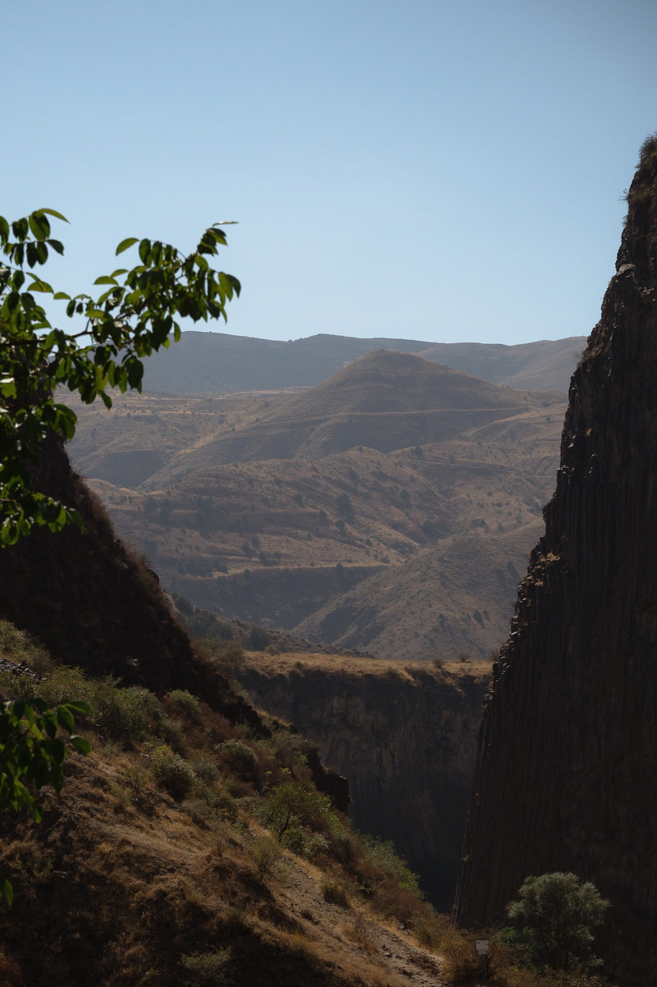 Трогательная свадебная вечеринка в горах Армении. Афина Ефимова. Свадебный фотограф Москва