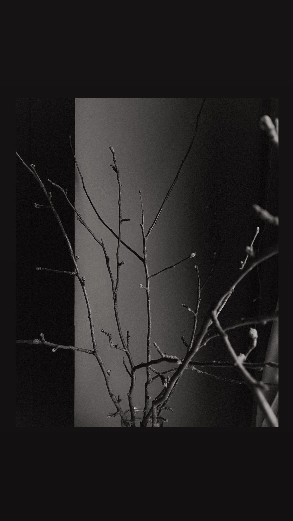 ПРЕДМЕТНАЯ. Nuga_visual