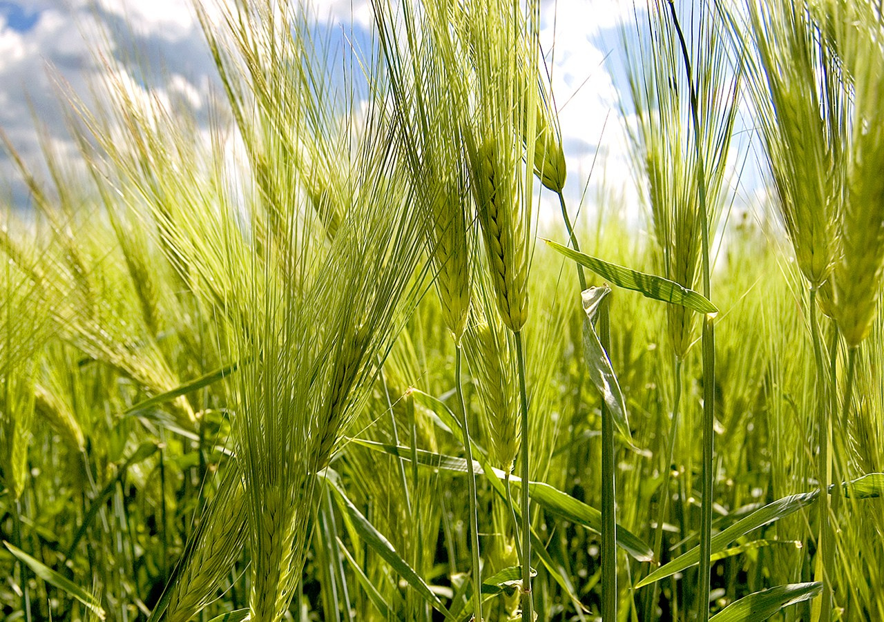 РАЗНОЕ. Андрей Пономарёв