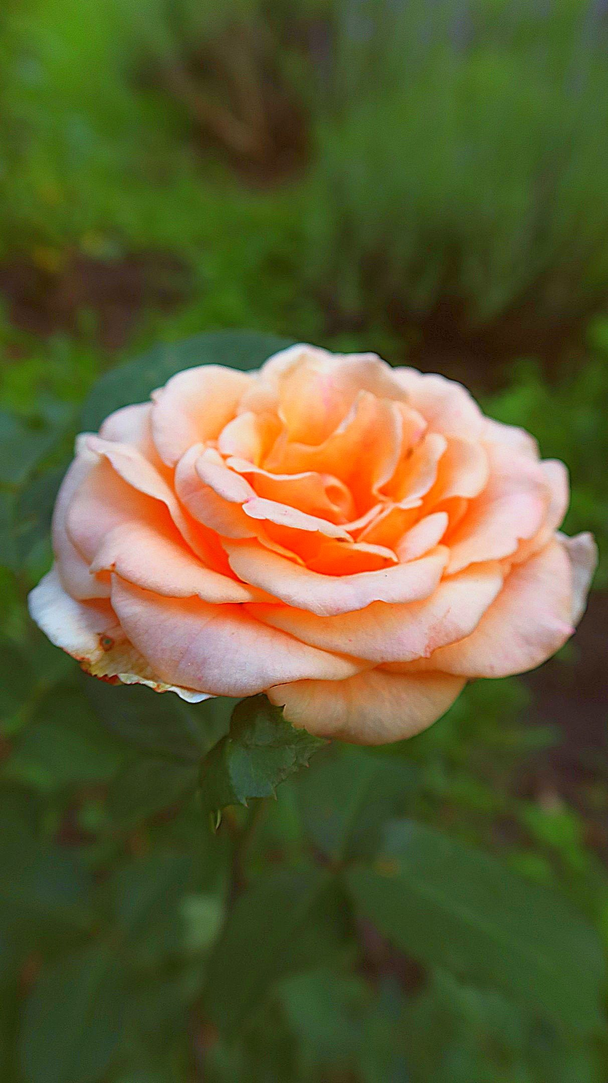 Осень 2023. Улица, люди, жизнь…