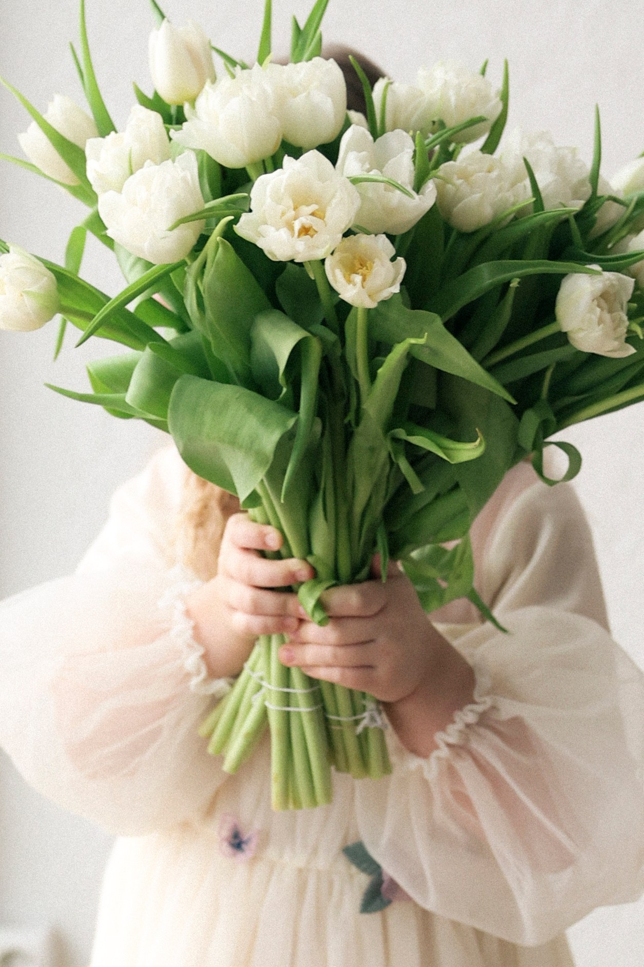 Тюльпаны. Фотограф НатаФото (Наталья Яковенко) Дмитров Москва Питер