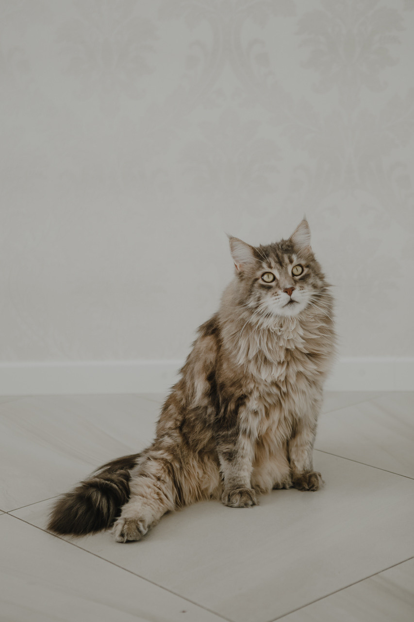 Семья. Семейный и свадебный фотограф в Нижнем Новгороде