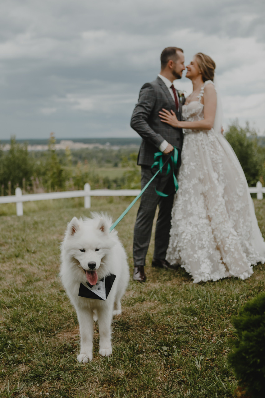 Оля и Миша (полный день). Семейный и свадебный фотограф в Нижнем Новгороде