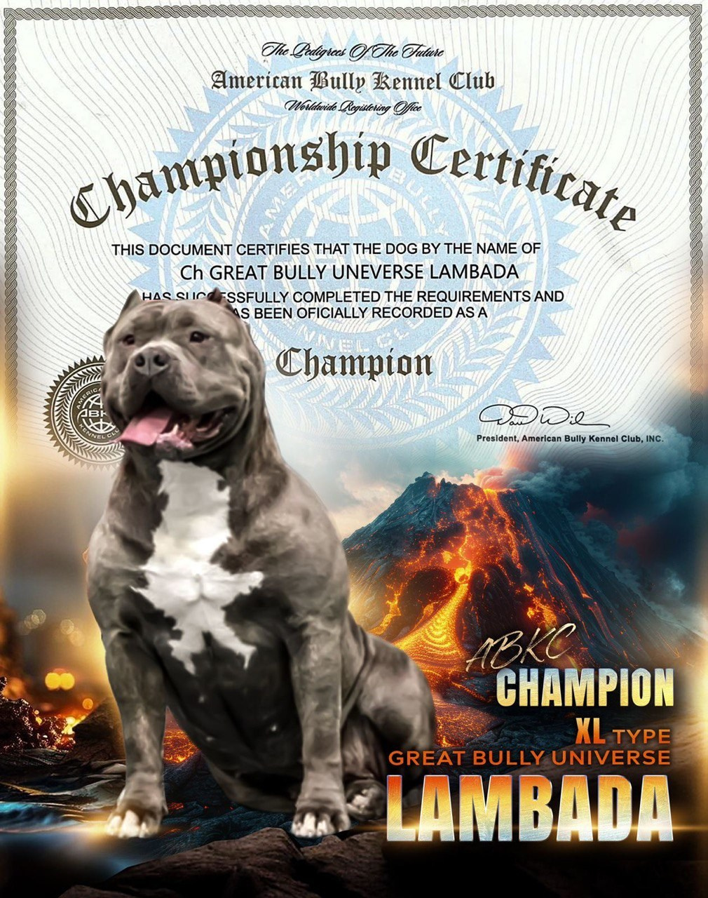 продажа щенков Американского булли XL	в Казани, официальный питомник American Bully XL	в Казани, официальный питомник Американских булли XL	в Казани, официальный питомник амбулли XL	в Казани, купить щенка из официального питомника американских булли XL	в Казани, продажа щенков амбулли XL	в Казани, 