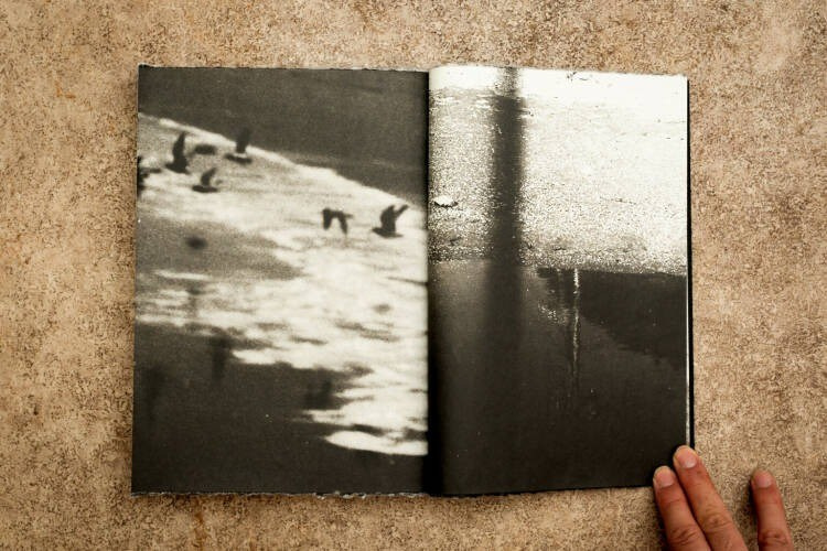 Как форма книги может влиять на концепт?. Самоорганизация Низина