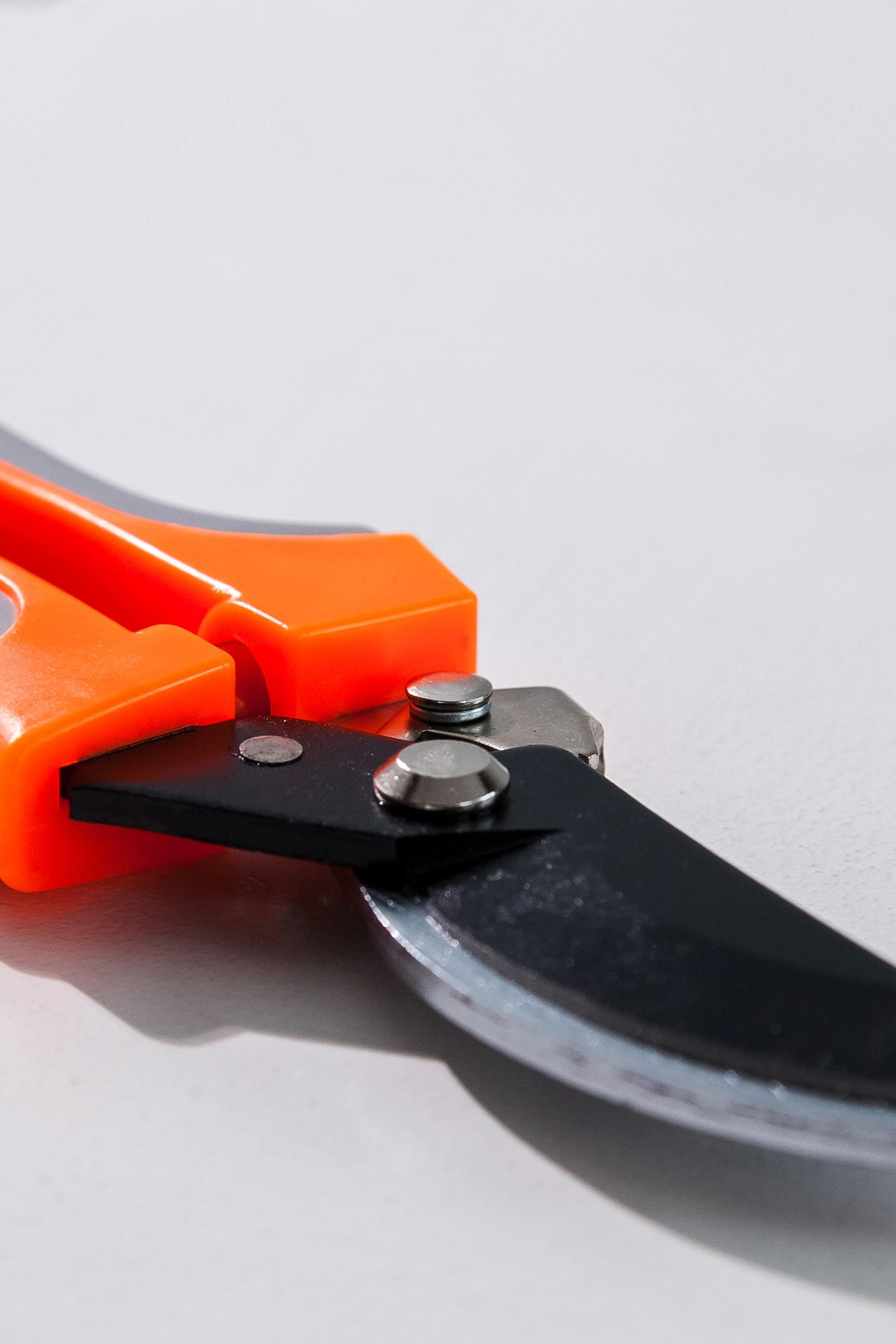 Секатор. Портретный, семейный, свадебный фотограф в Брянске Маргарита Василькова