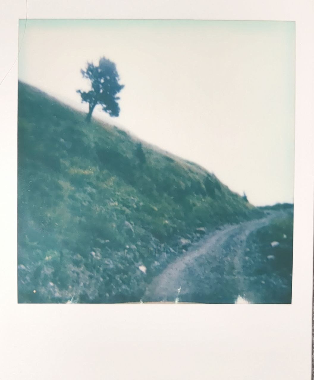 Polaroids. Ольга Лончакова, фотограф, режиссер