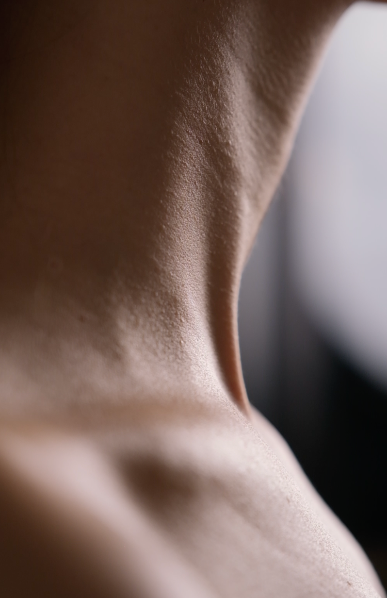 Проекты. Главная