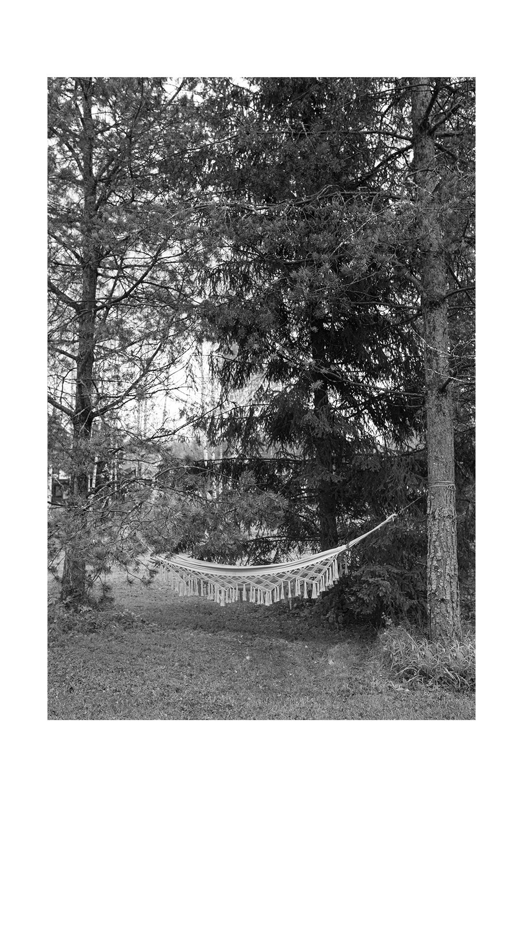 «Голос тела» Виктория Лайнер. Ольга Пилант. АРТ, бэкстейдж, свадебная и семейная фотография, городской портрет, интерьерная фотография