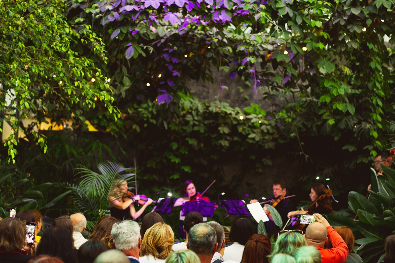 Petro Art — квартет в Таврическом саду (Рок Хиты). EvgenyCraft