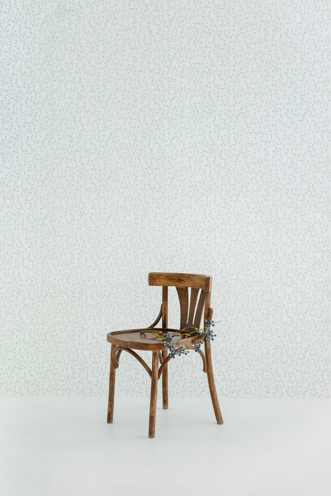 Pastila. Портретный фотограф Павлова Светлана / Брянск /