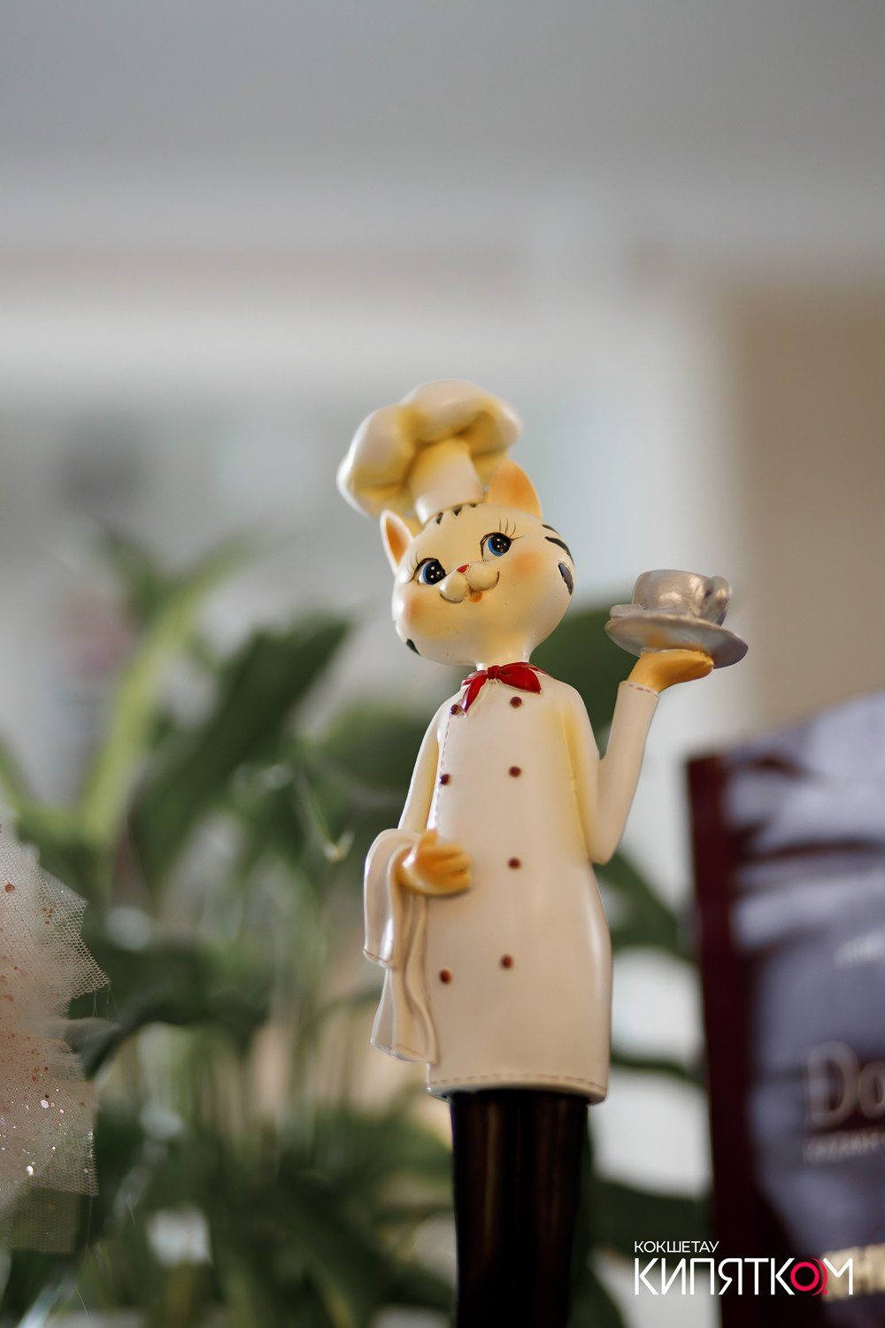 DOLCE CASA. КИПЯТКОМ КОКШЕТАУ