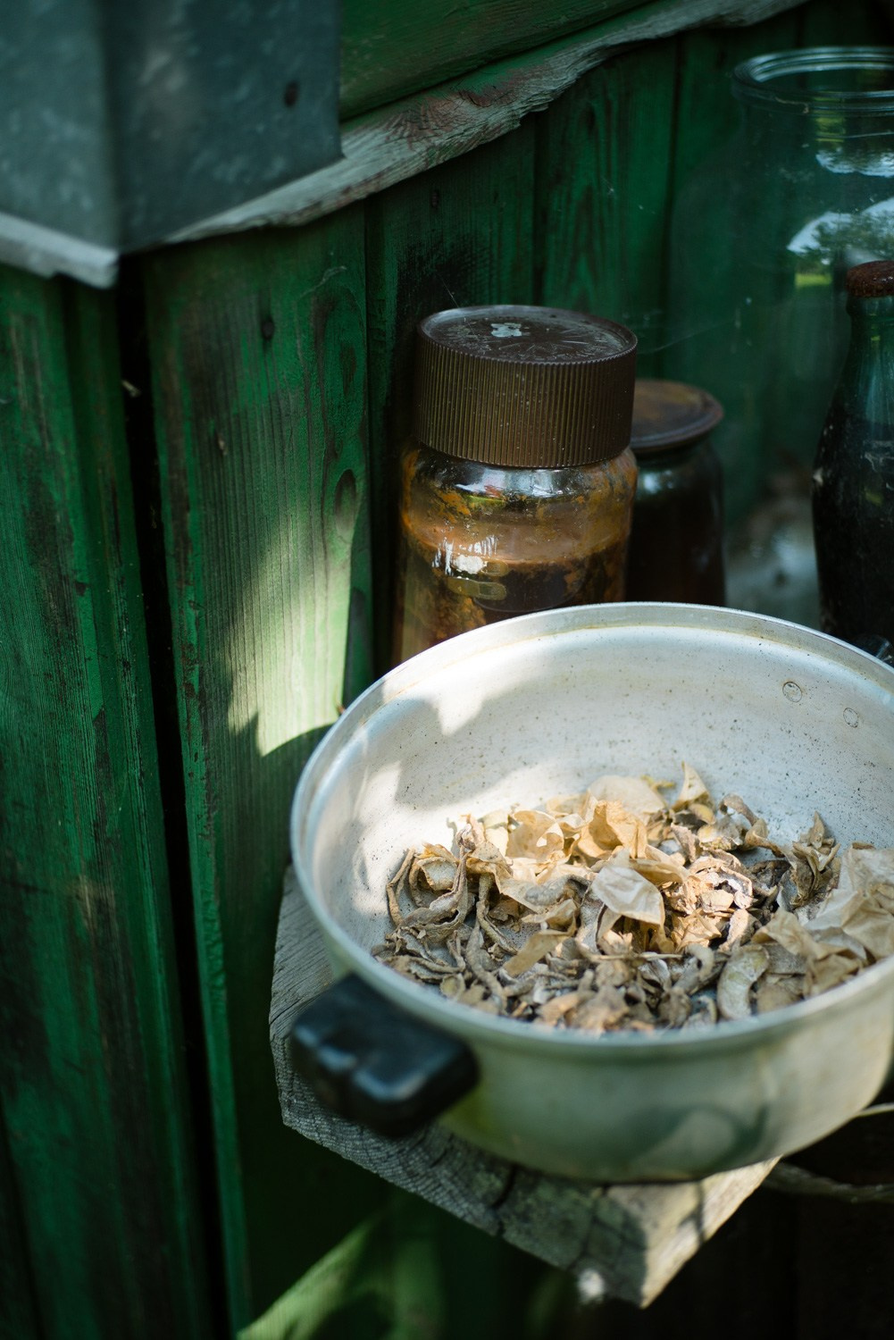 Summer Recurrences. Пётр Антонов