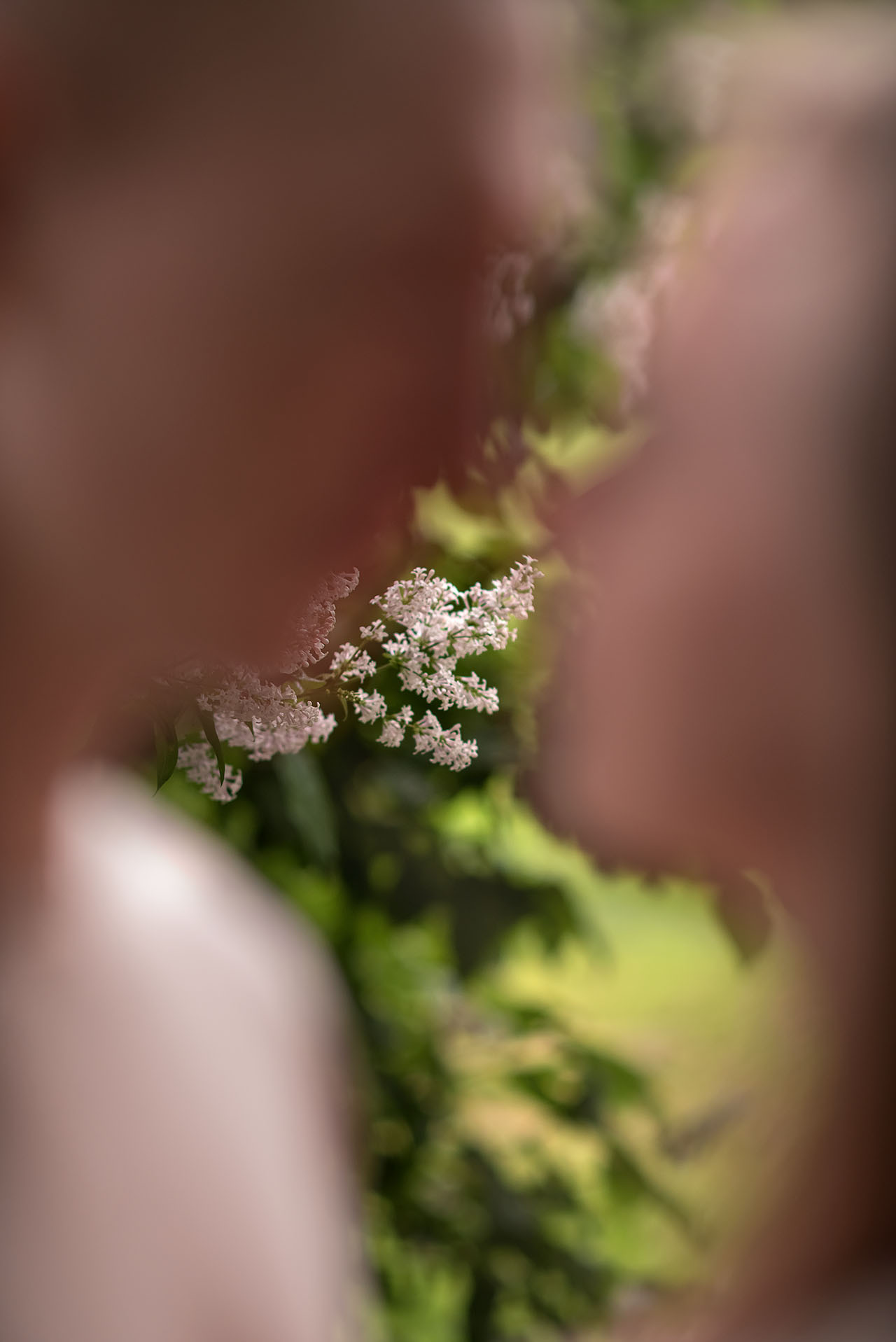 Семейная фотосессия в СПб. Фотограф Юлия Кондратьева