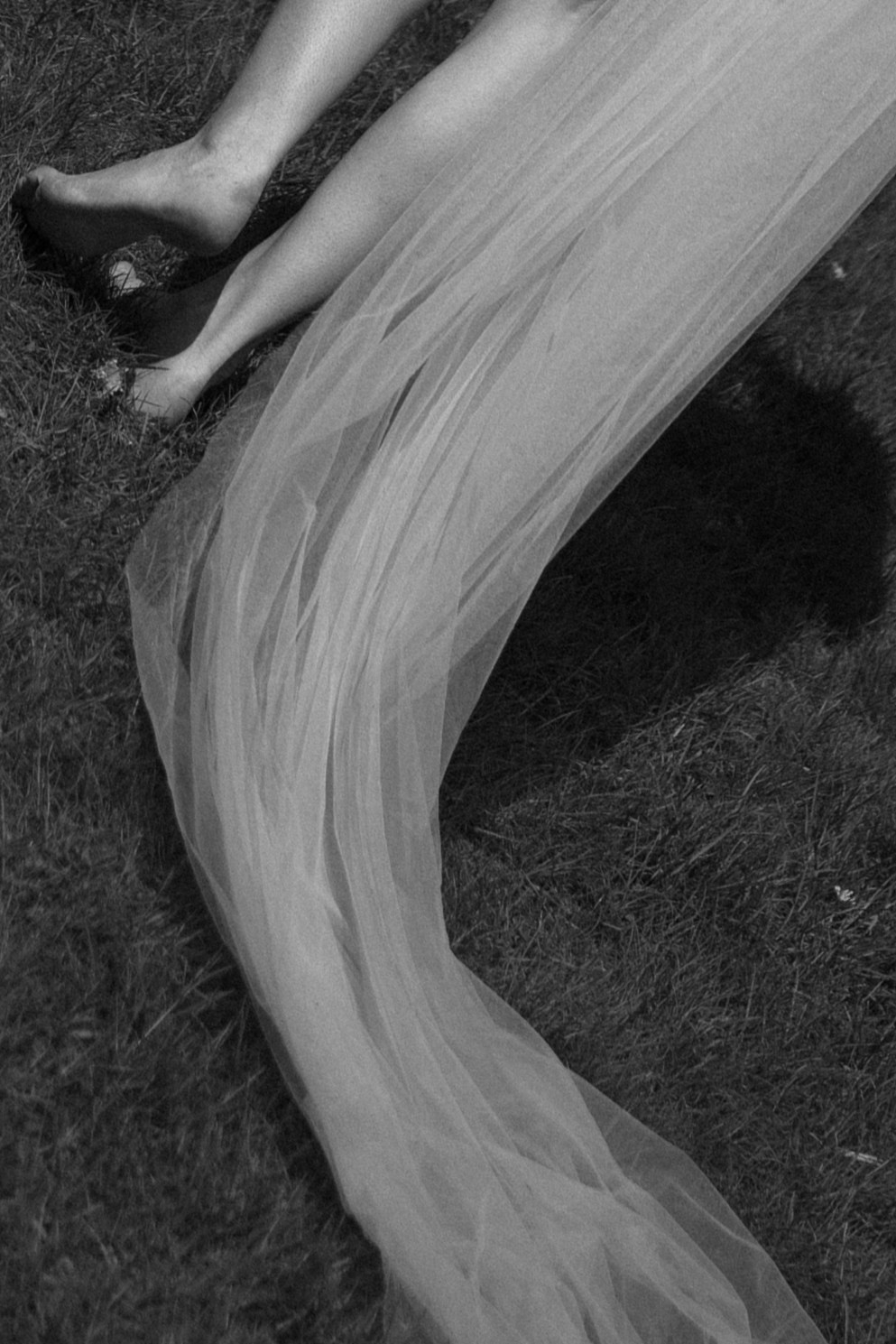 ЗАГС и прогулка. Фотограф в Санкт-Петербурге Шевченко Наталья