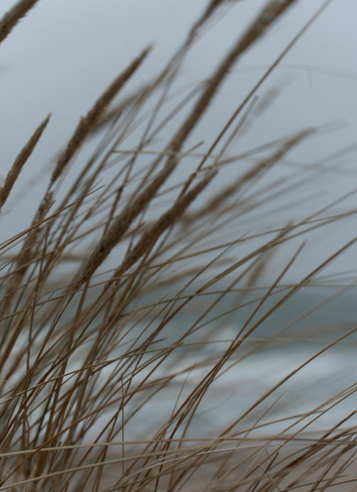 Калининград. Организатор Авторских Туров Жукова Алёна