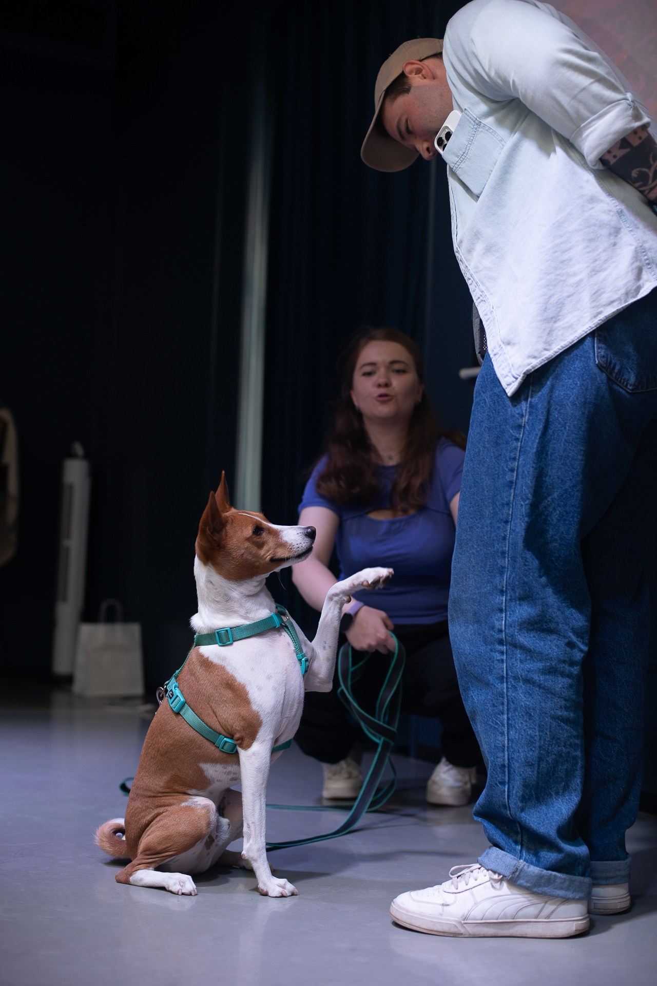Basenji Help Fest 2025. Фотограф-анималист, Brand-фотограф в Москве Евгения Кононенко