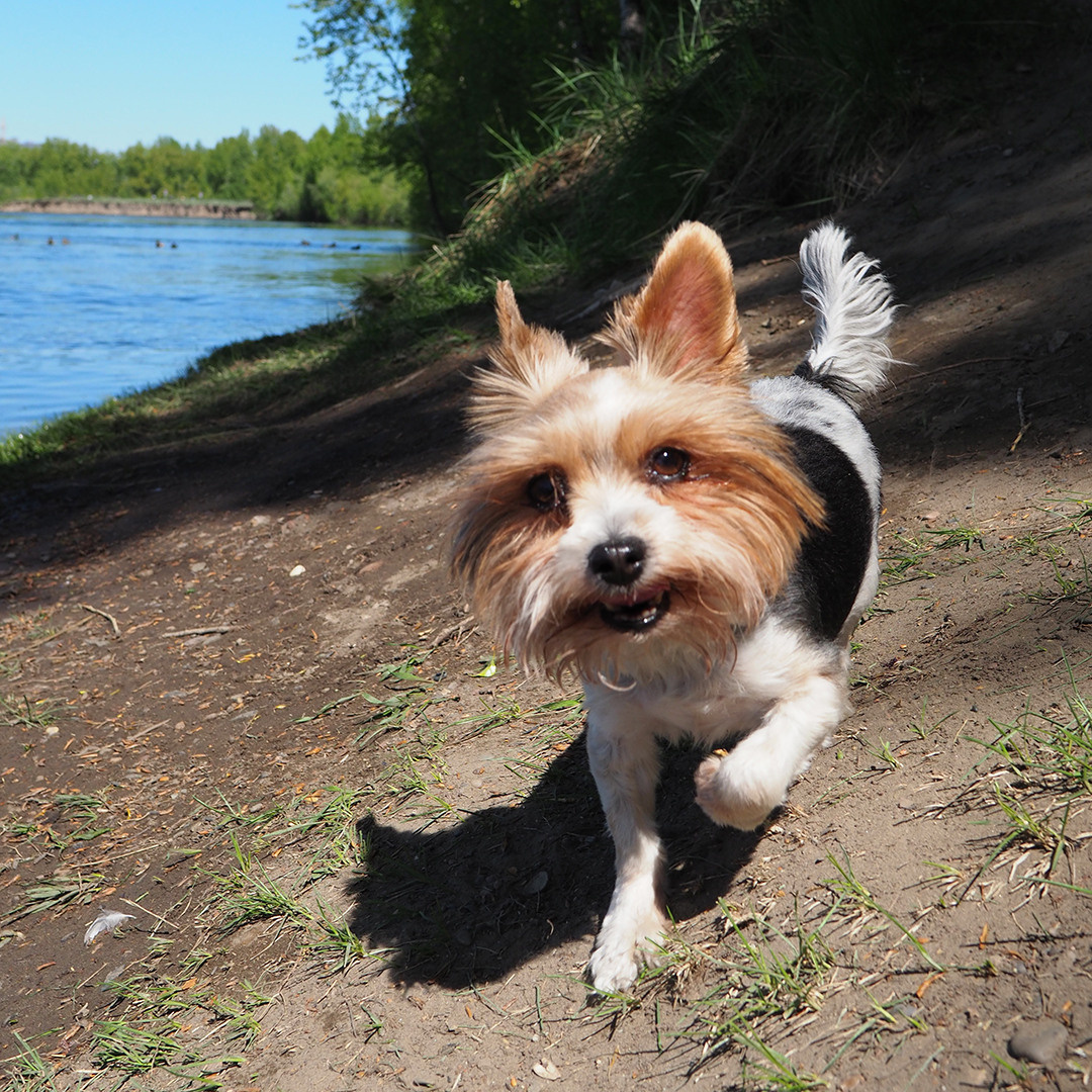 Контент. Семейный фотограф в Красноярске Лизоркина Вера
