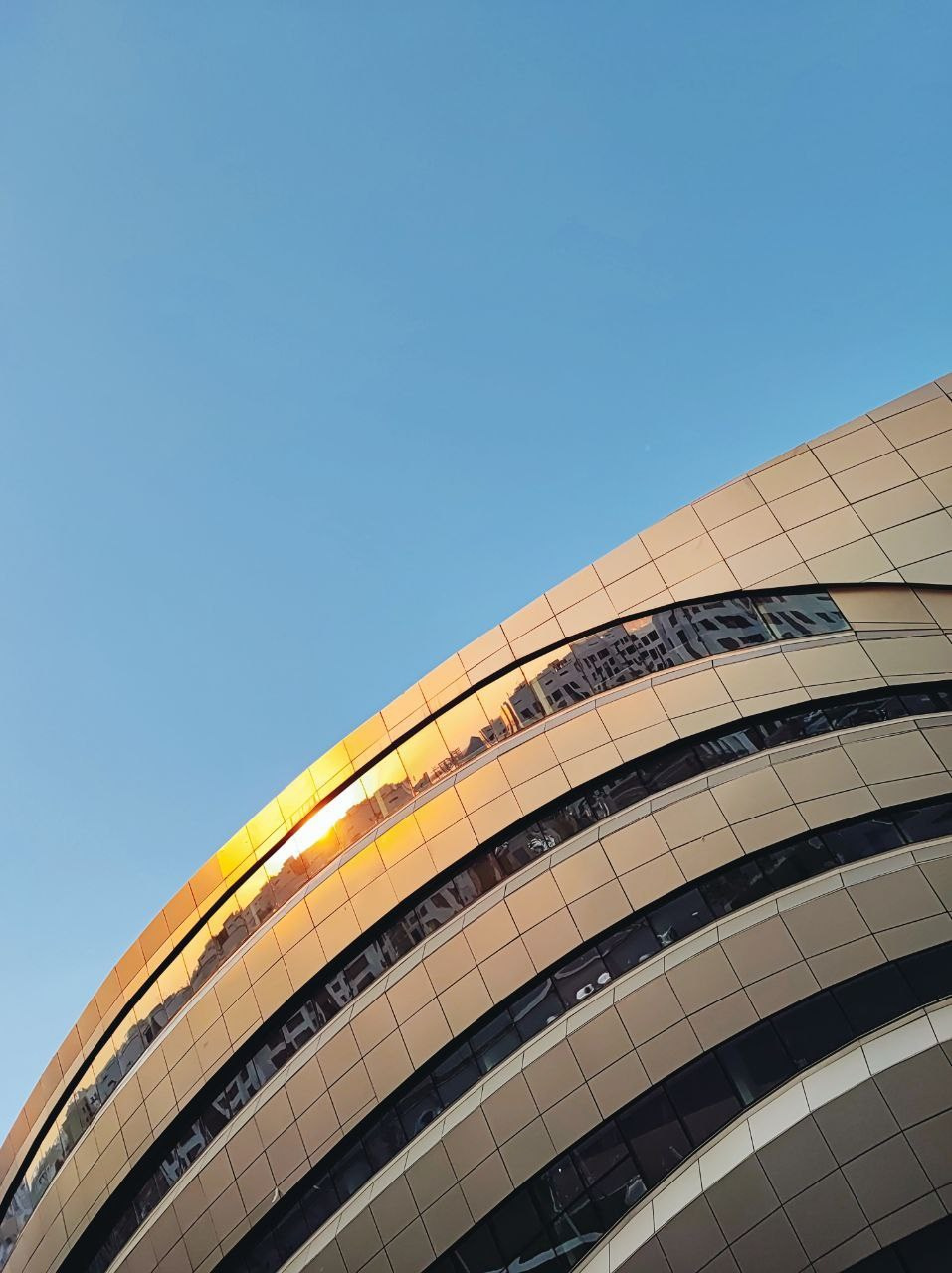 Намобилкус казахский. Репортажный фотограф Алексей Пирязев