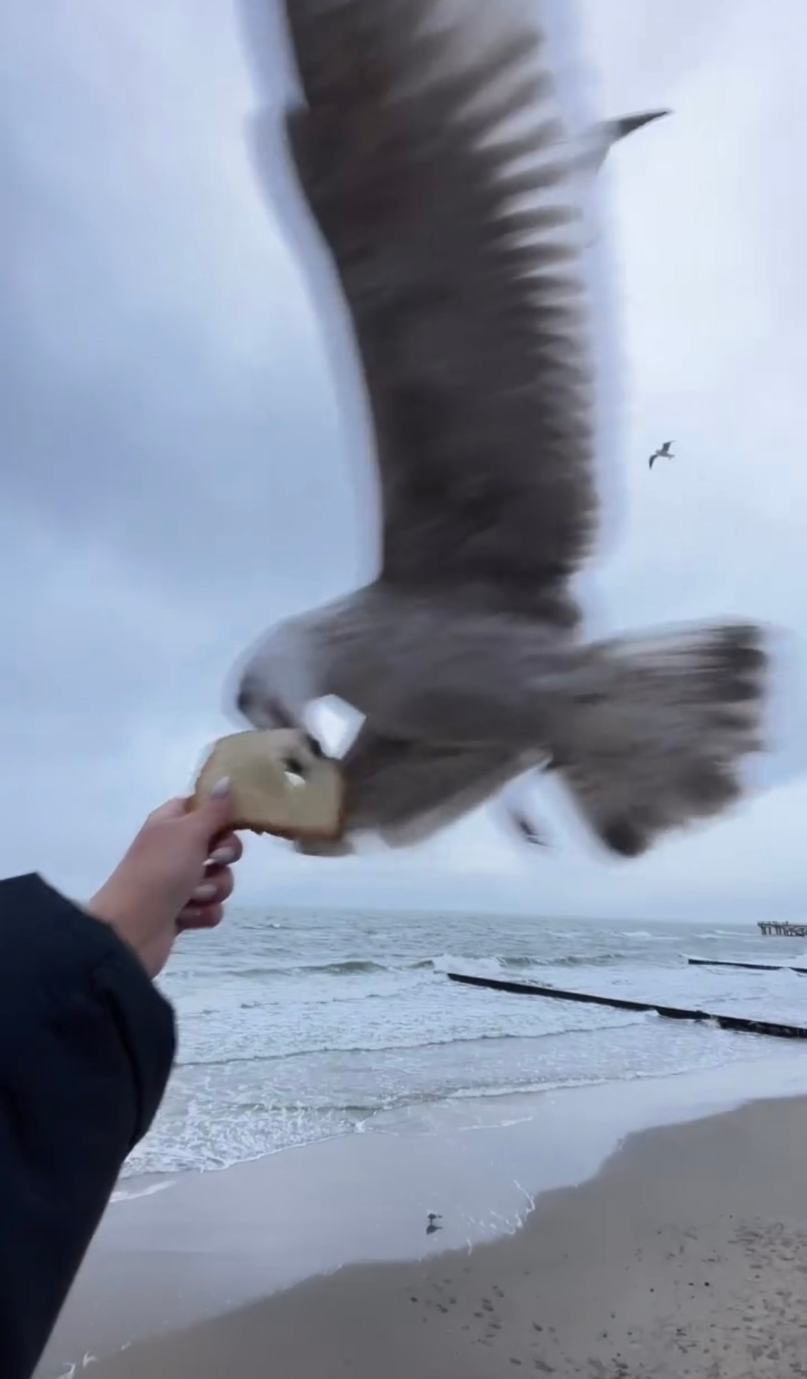 Калининград. Организатор Авторских Туров Жукова Алёна