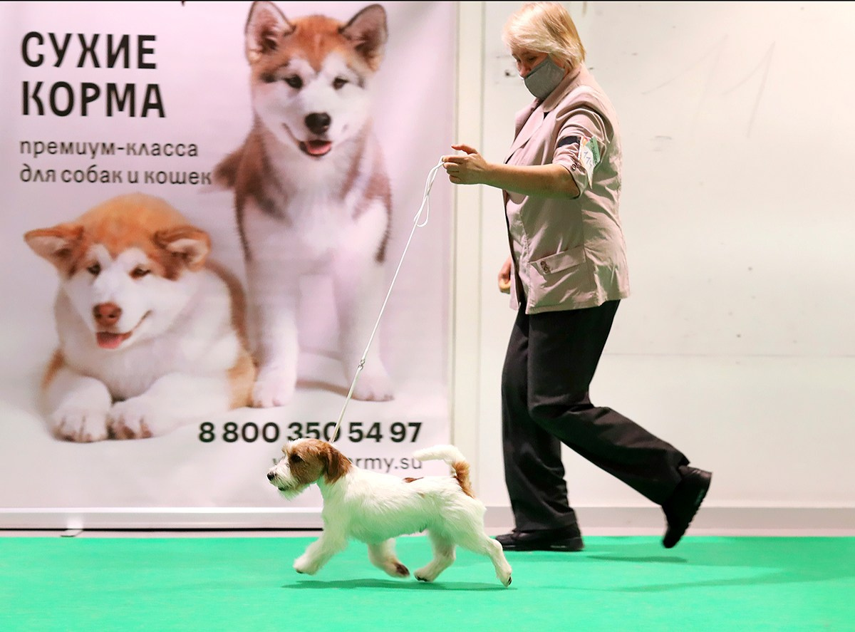 Port Fortis Zoom Zoom