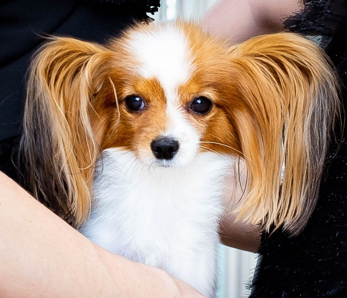 День рождения. Студийный, портретный, семейный фотограф Южно-Сахалинска Яна Радаева