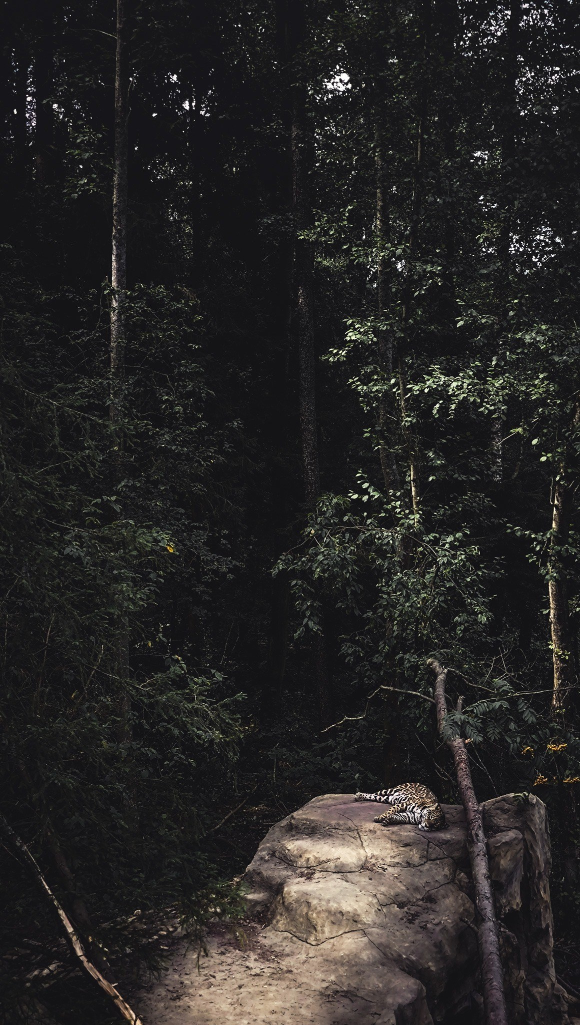 Спокойствие, Пейзаж, Евгений Швец, Москва, SPC HM