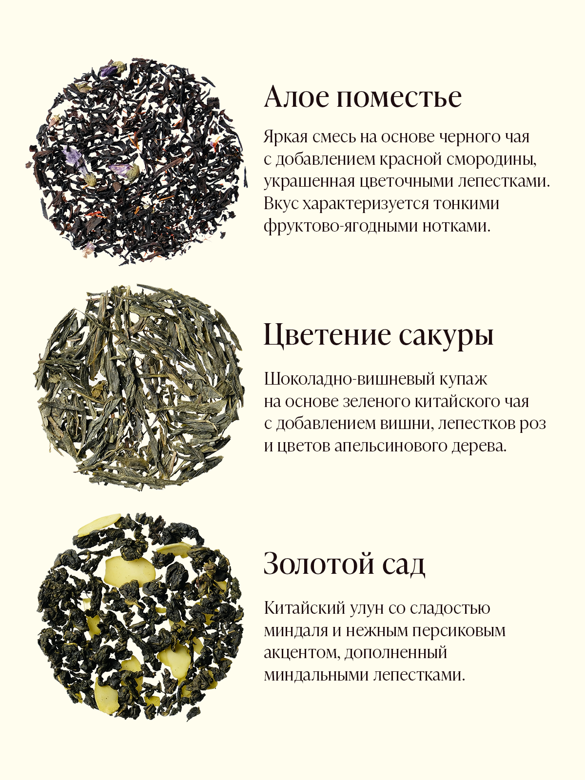 Наборы чая TEAFORIA. Разработка фирменного стиля, брендбука, логотипа (логобука), инфографика для маркетплейсов, Новосибирск