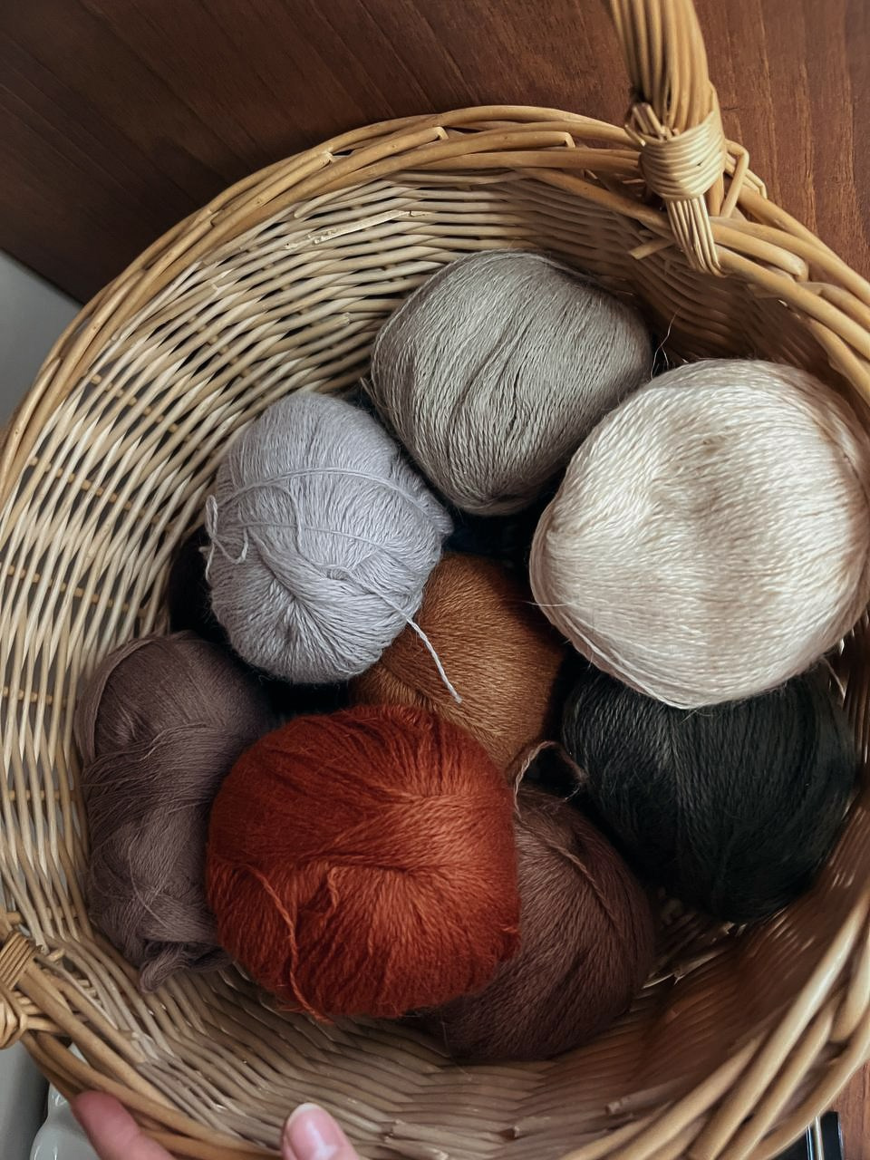 Тедди. Фотограф Ольга Сальманович