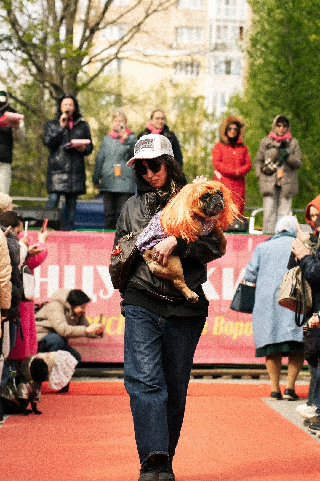 Парад Бульдогов. Axenov_eugene