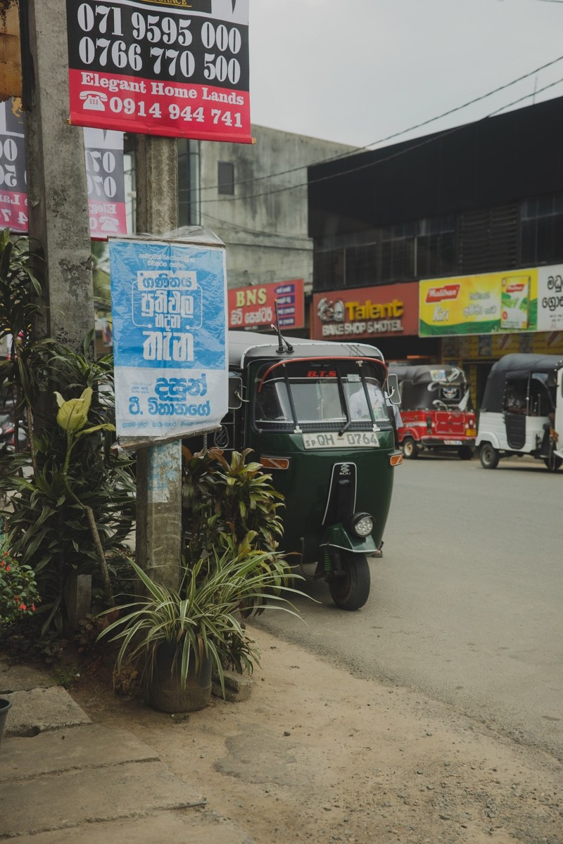 Шри-ланка. Ретрит «Bodу.Mind.Soul» Март 2024 Фото. Профессиональный фотограф Татьяна Евглевская