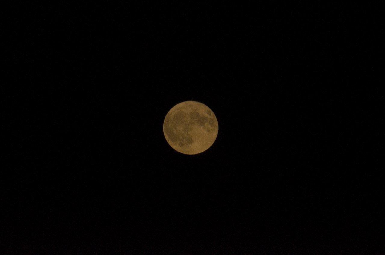 Дары Природы. Sreda fotoArt