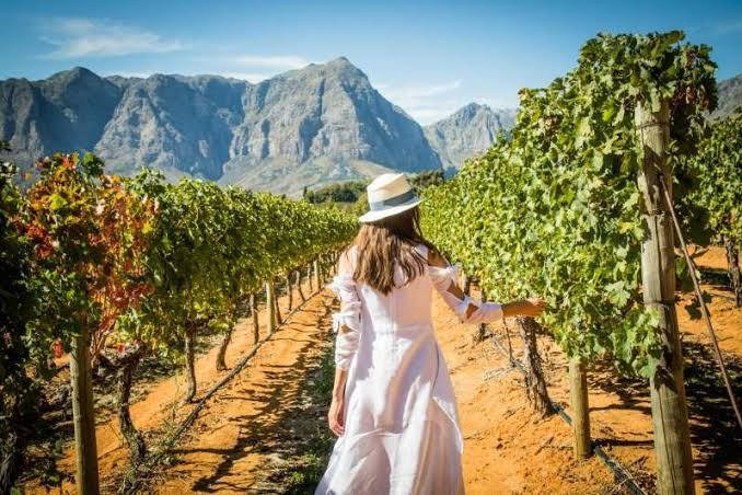 Анонс (1). Семейный и детский фотограф Margo Photolab в Москве