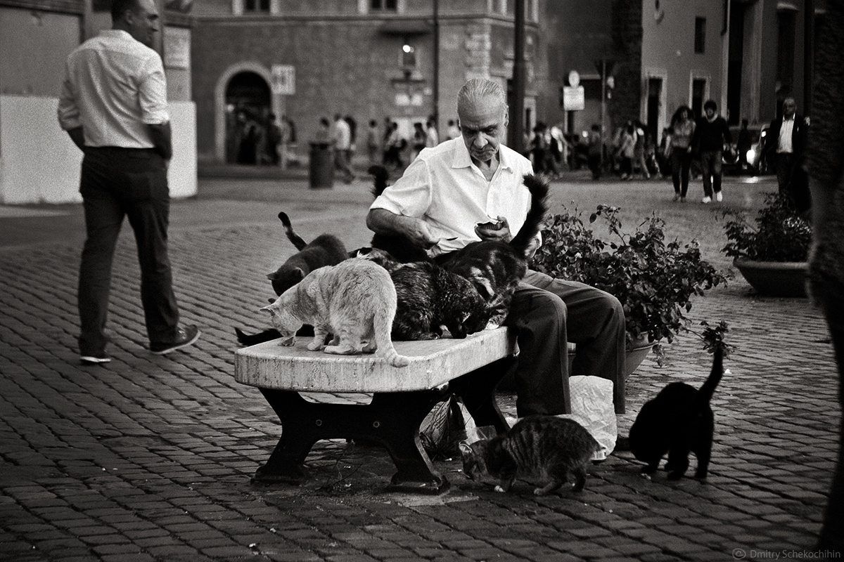 Street & Travel. Фотограф Дмитрий Щекочихин