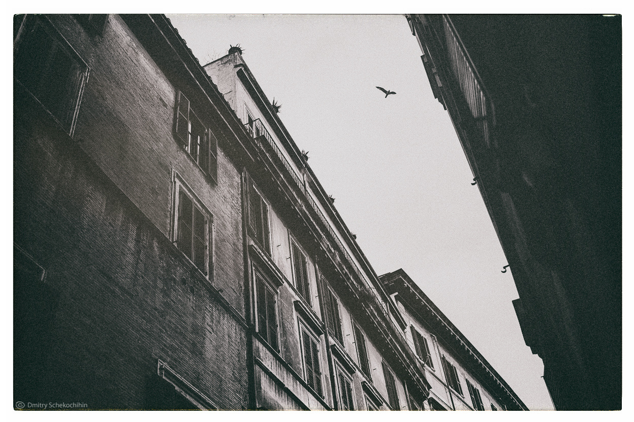 Street & Travel. Фотограф Дмитрий Щекочихин