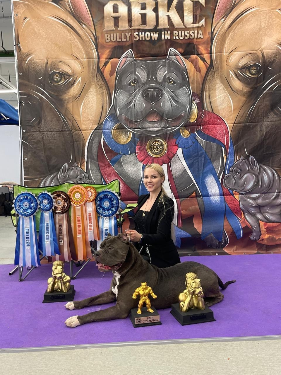 Участие в выставках. Американские булли XL в г. Калининград. Питомник Great Bully UNIVERSE