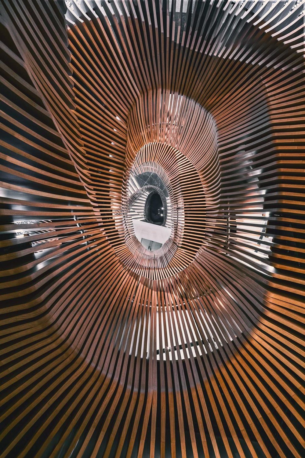 Look up — personal project of photographer Vadim Sherbakov. Vadim Sherbakov Portfolio