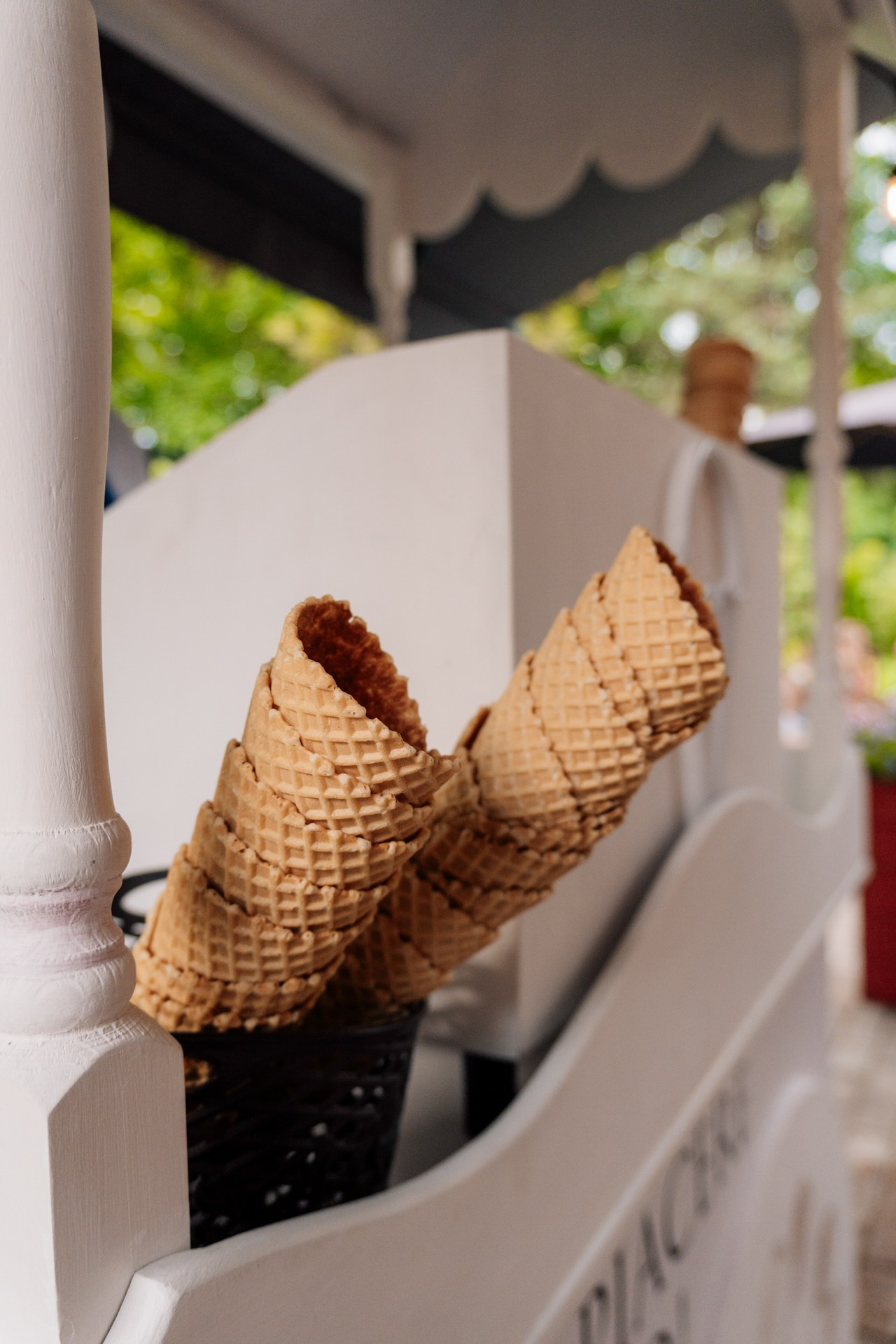 Винный ужин в ресторане Pio Verde. Репортажный фотограф Санкт-Петербург