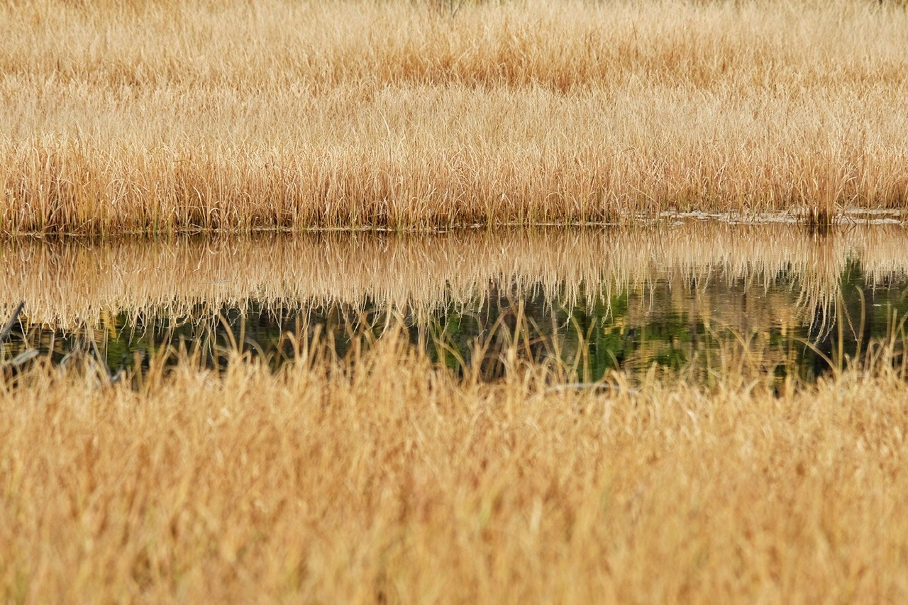 Алтай. Фотограф Евгений Андреев