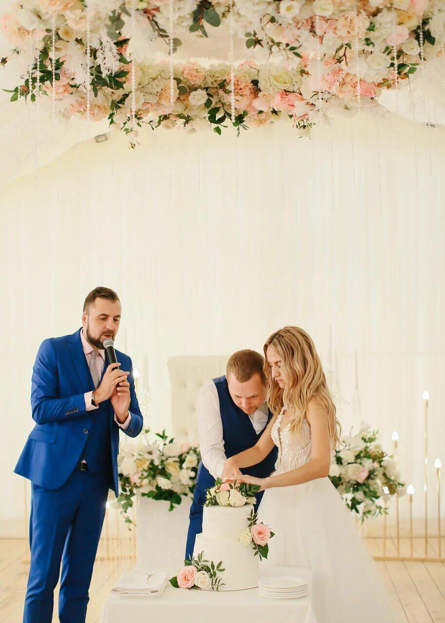 Wedding. Ведущий Сергей Селедцов