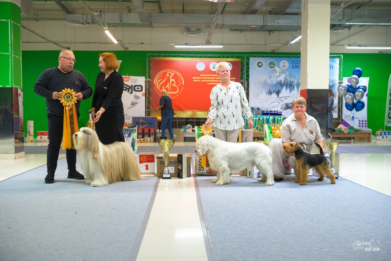 Отзывы. Фотограф анималист Елена Галдина г. Красноярск