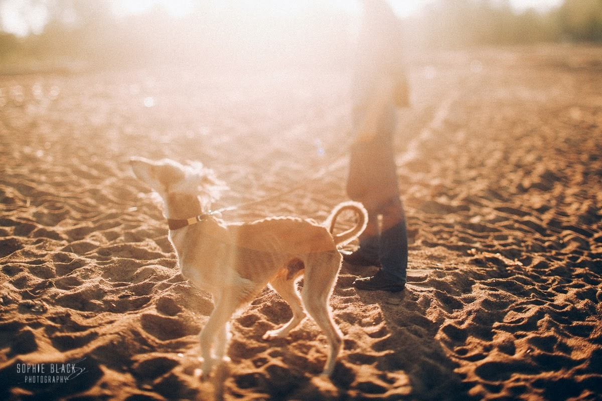 Встреча Ветров. Соня Черных (sophieblack)