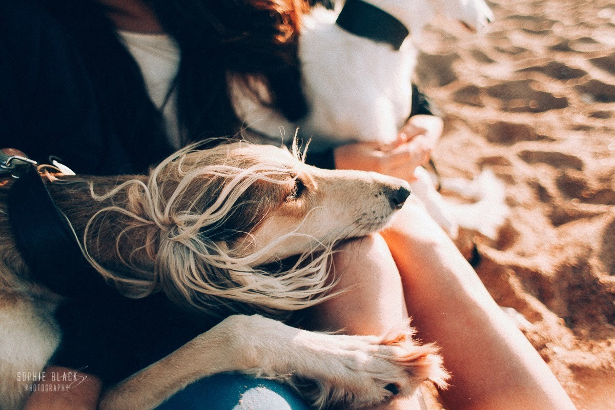 Встреча Ветров. Соня Черных (sophieblack)