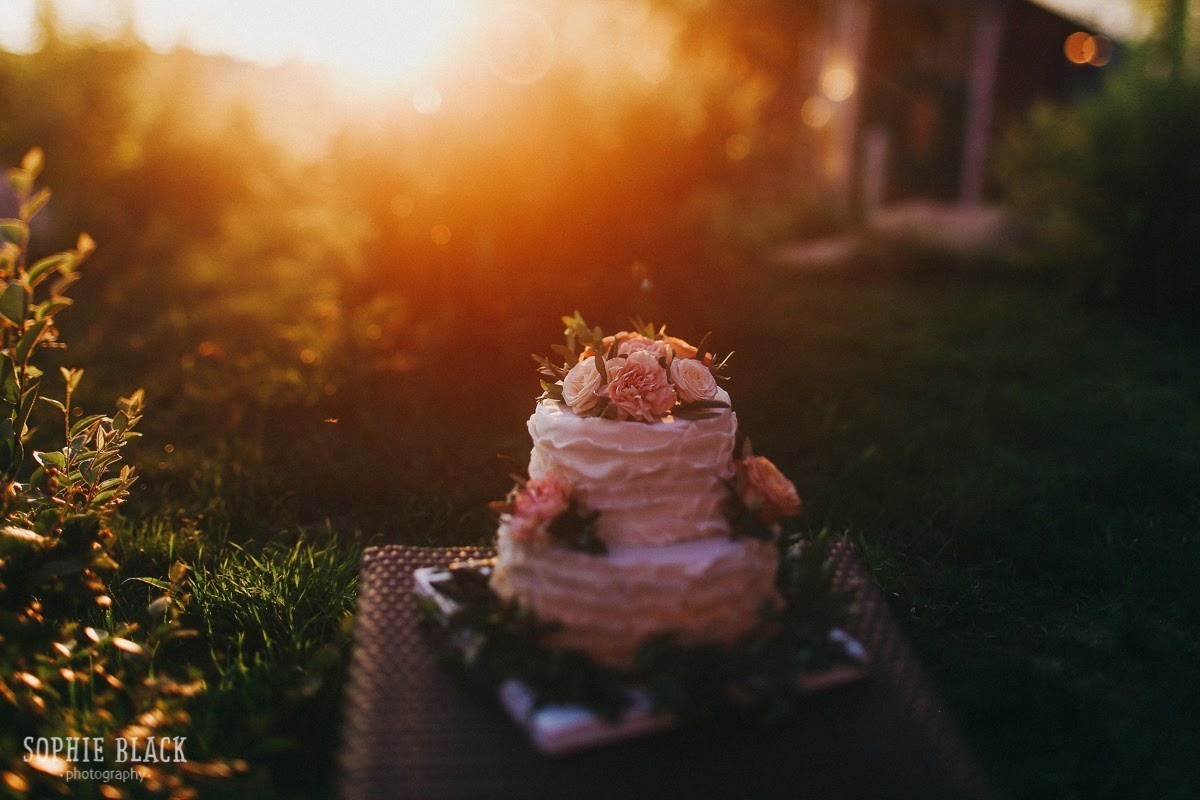 Дмитрий и Анастасия. Соня Черных (sophieblack)