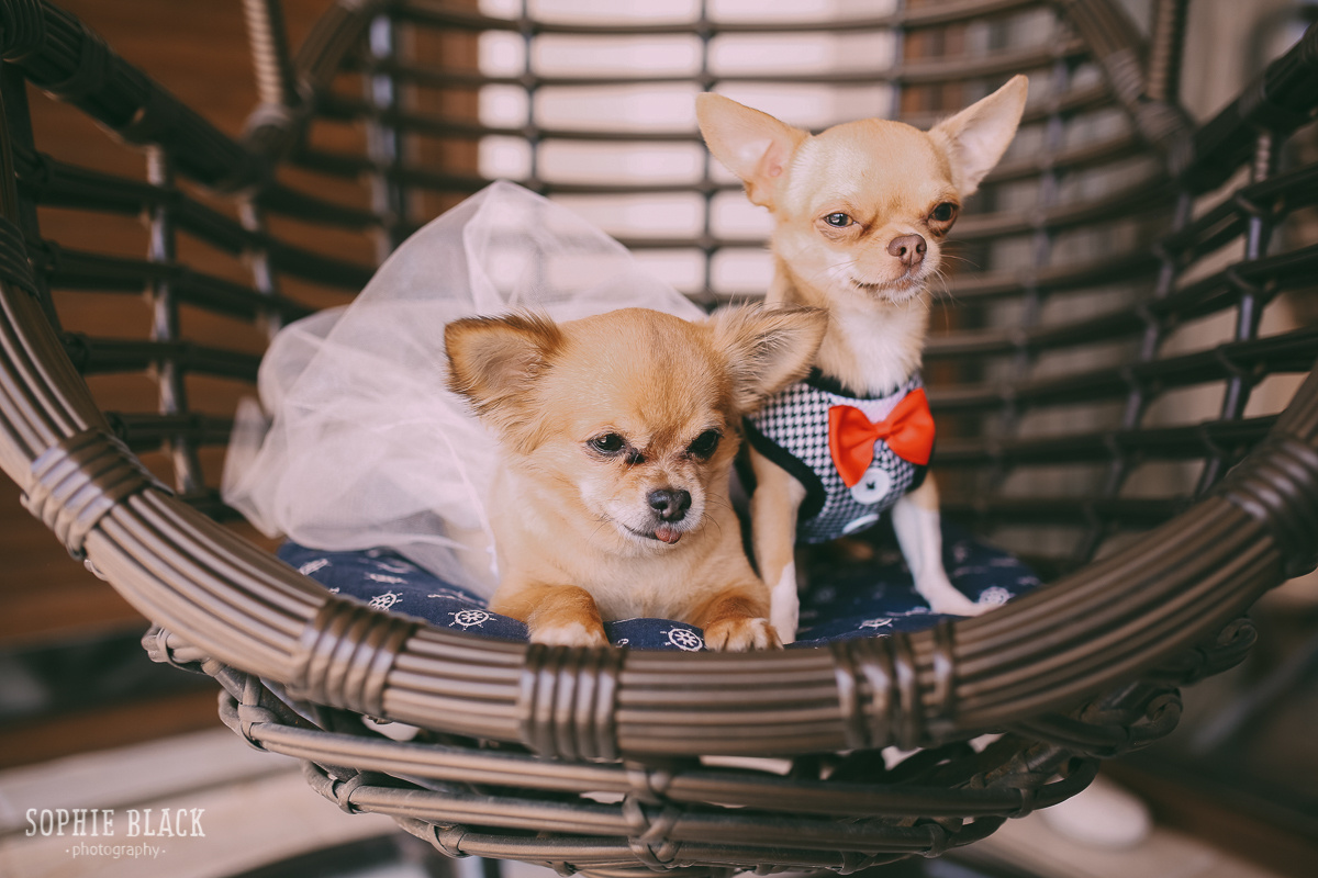 Анастасия и Владимир в Черногории. Соня Черных (sophieblack)