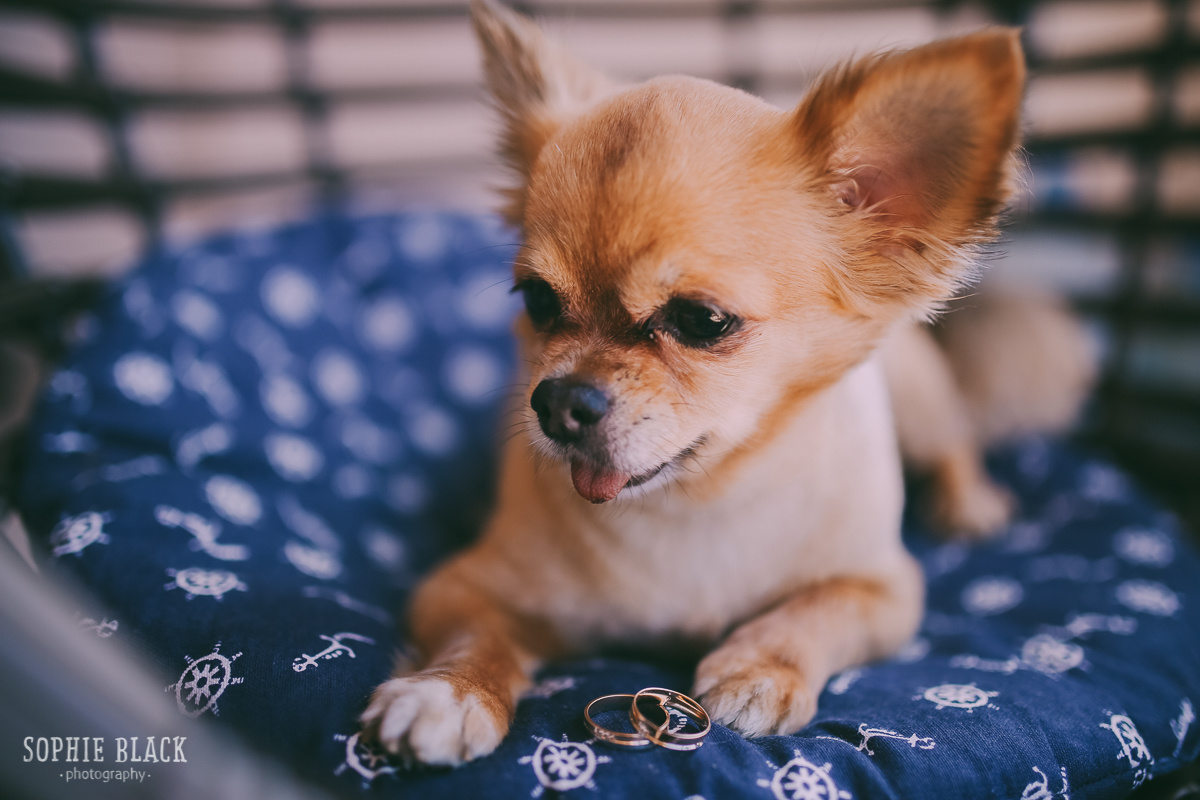 Анастасия и Владимир в Черногории. Соня Черных (sophieblack)